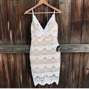 Lulus Lace Bodycon Dress